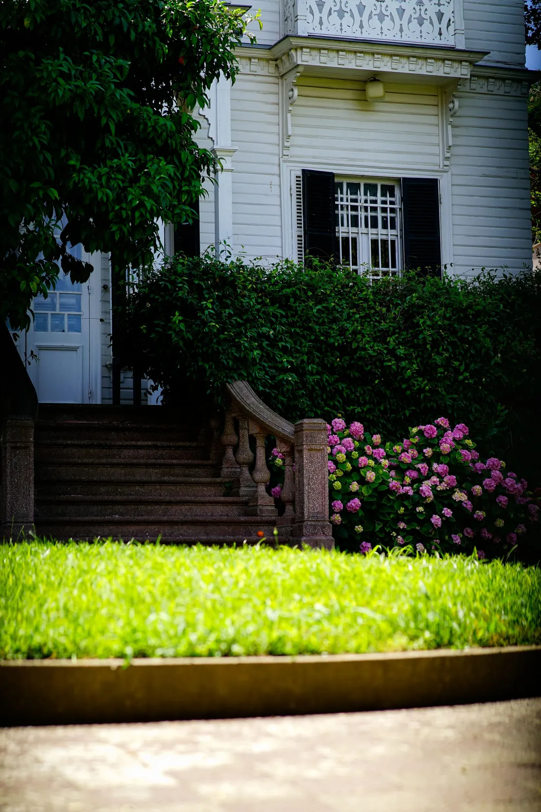 A white house with stone entry steps and blooming pink hydrangeas